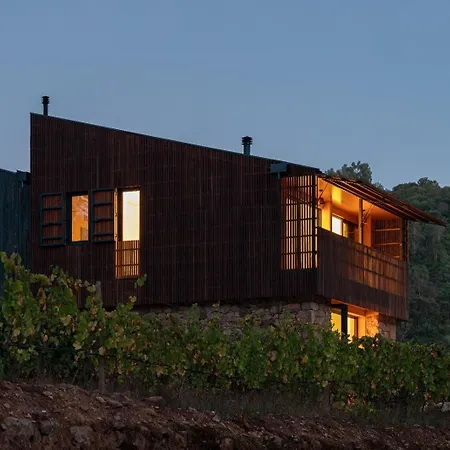 Quinta De Reciao - Casa Do Lagar Villa Lamego Exterior photo