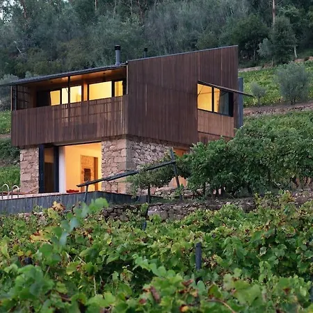 Quinta De Reciao - Casa Do Lagar Villa Lamego Exterior photo