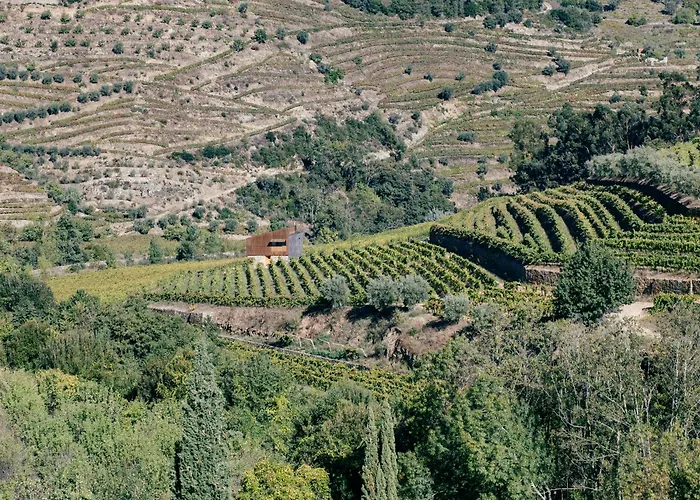 Quinta De Reciao - Casa Do Lagar