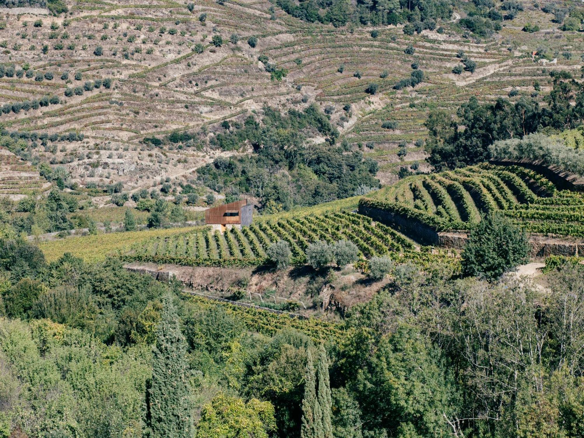 Holiday home Quinta De Reciao - Casa Do Lagar Lamego