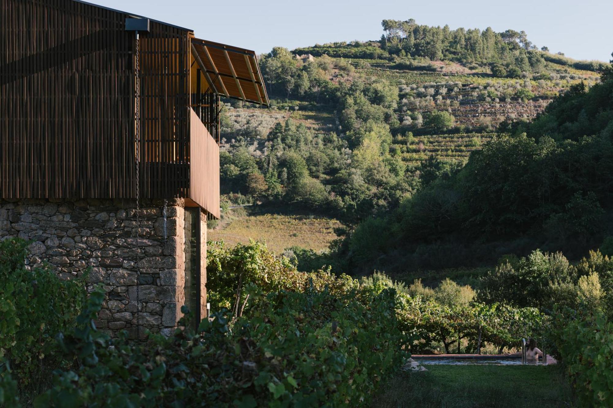 Quinta De Reciao - Casa Do Lagar Holiday home Lamego