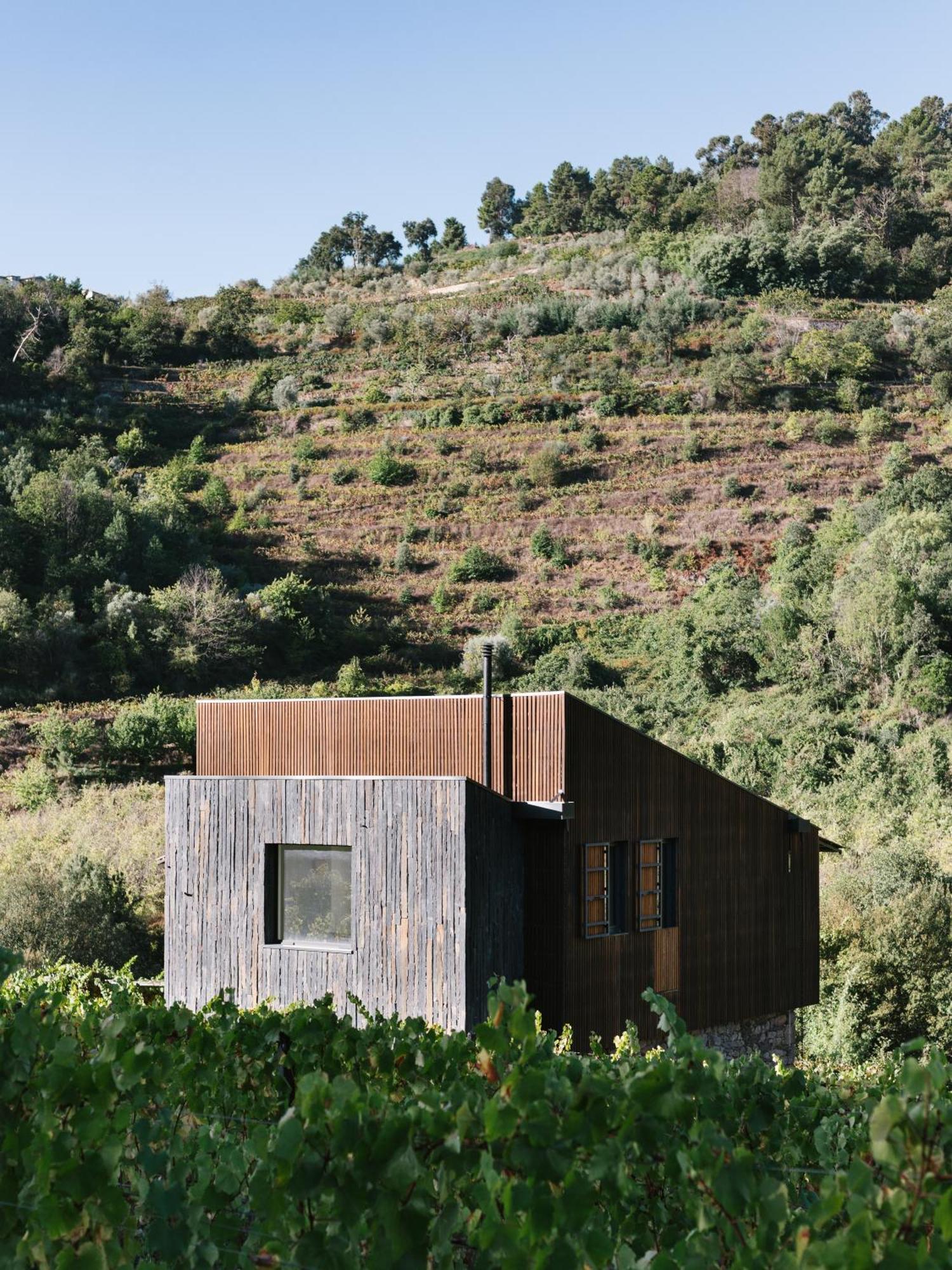 Quinta De Reciao - Casa Do Lagar *